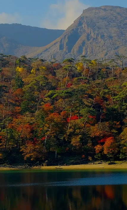 被大海和群山环绕，以“地產地消”为主题，提供独特款待的AUBEGIO雾岛观光酒店。